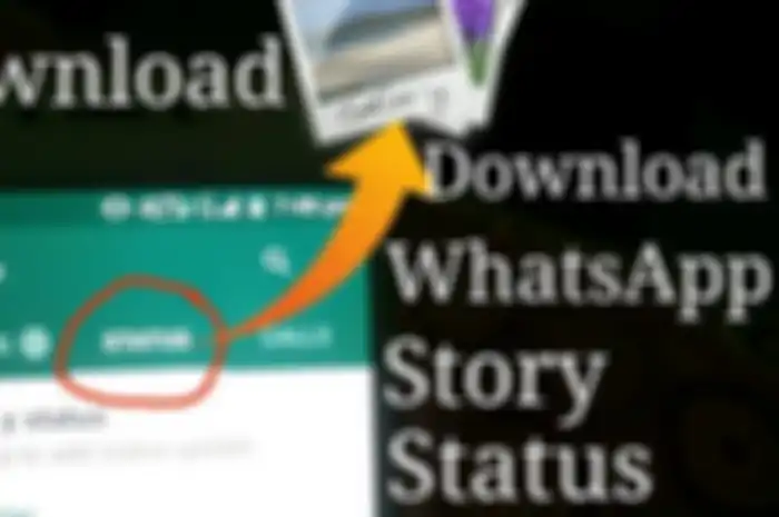 Cara simpan status story WhatsApp langsung ke gallery