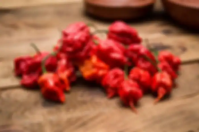 Carolina Reaper adalah cabai yang secara resmi menjadi cabai terpedas di dunia dan telah dibukukan dalam Guinness Records.