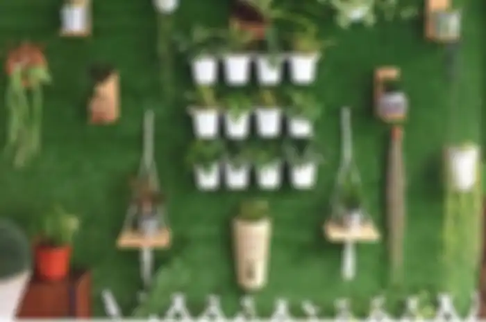vertical garden @ditte_id
