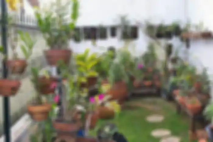 Ada Apa dengan Taman yang Menghadap ke Timur Laut? Ini Kata Fengshui!
