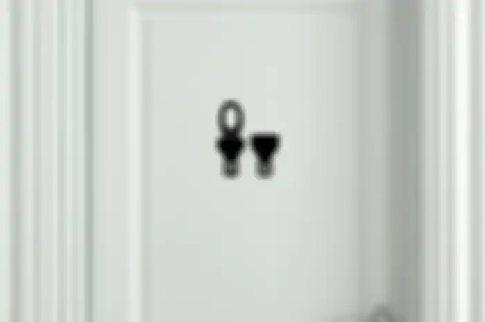 Jauhkan Toilet dari Pintu Masuk Karena Bisa Hadirkan Energi Buruk, Percaya? Ini Penjelasan dari Ahli!