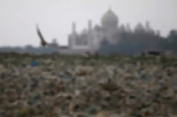 Ratusan sampah di sungai Yamuna, India, yang berlokasi dekat Taj Mahal.