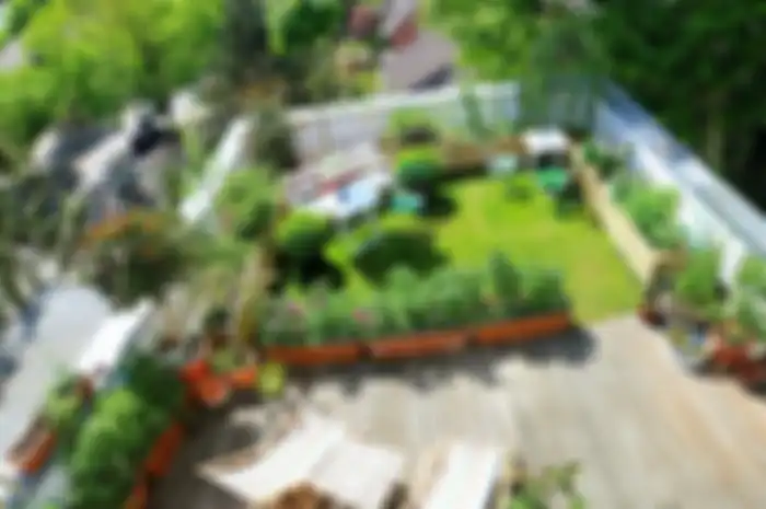 rooftop garden