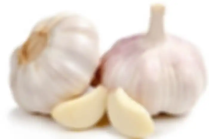 bawang Putih