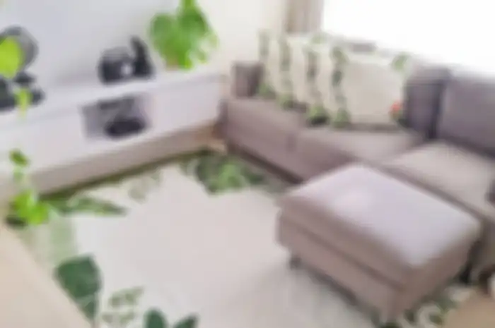 Tentukan Bantal Ideal untuk Sofamu, Semakin Besar Sofa Semakin Besar Bantalnya!