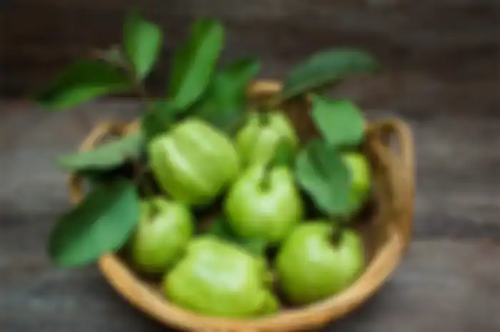 Sebuah penelitian menemukan bahwa daun jambu biji memiliki kemampuan untuk mengobati diabetes dan membantu mengelola gejalanya.
