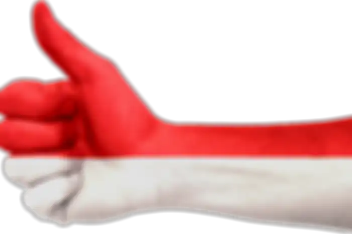 Ilustrasi Indonesia