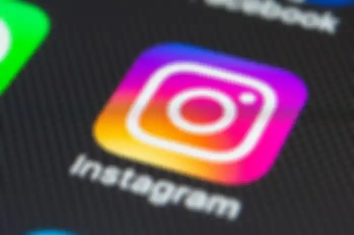 Ilustrasi Instagram