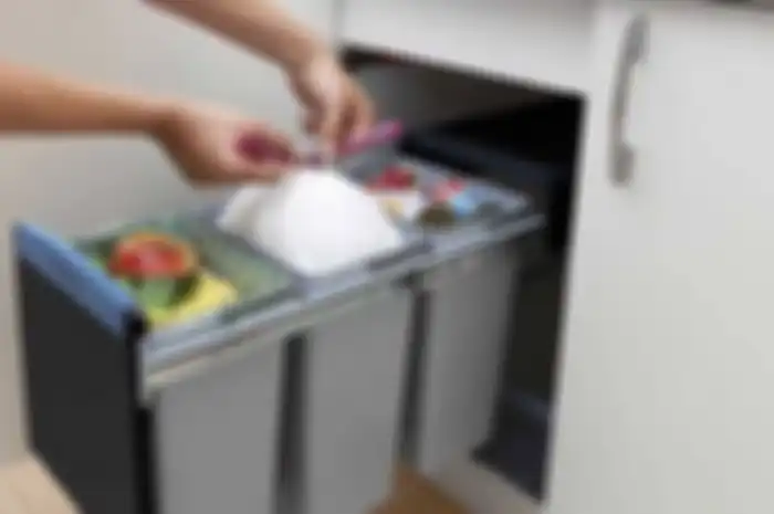 Mulai dari Baking Soda Hingga Kulit Jeruk, Kini Hilangkan Bau Sampah Tak Lagi Sulit, Ini Caranya!