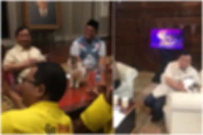 Dalam beberapa pertemuan, Prabowo Subianto kerap ditemani oleh seekor kucing yang berwarna putih abu.