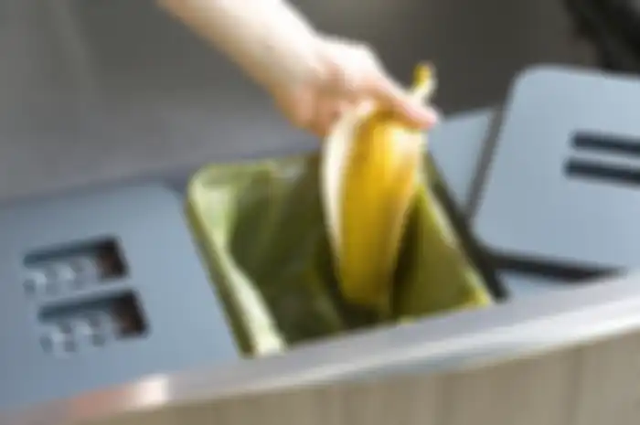 Ilustrasi membuang kulit pisang
