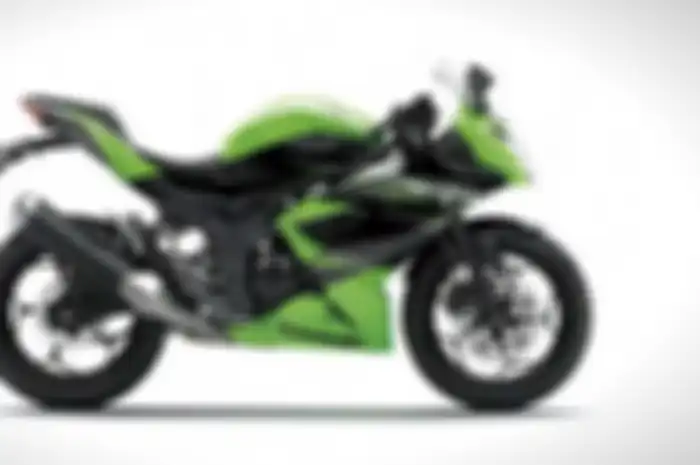Kawasaki Ninja 250 RR Mono
