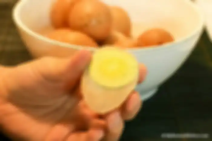 diet telur
