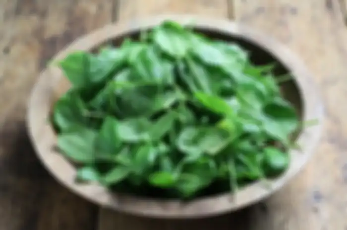 bayam