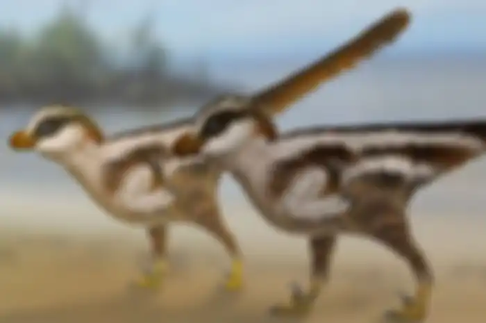 Dunia paleontologi kembali menambah koleksinya terkait dinosaurus. Kali ini bukan yang terbesar atau yang tertua, melainkan yang terkecil.