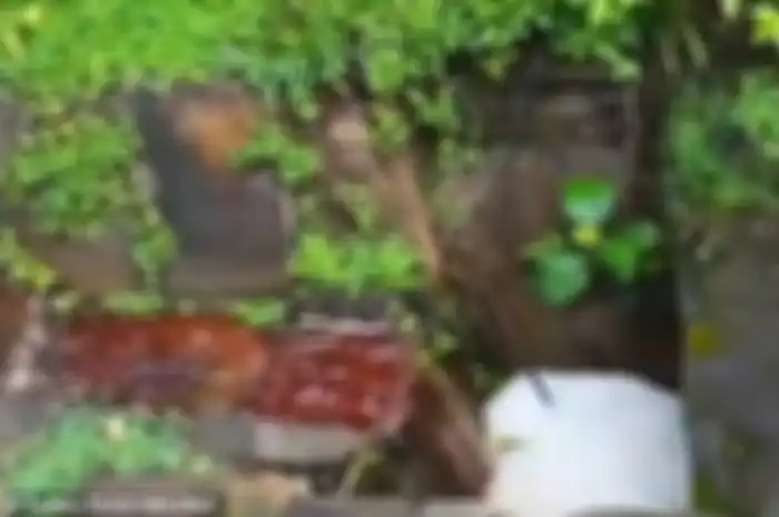 Ketika sebuah rumah sudah tidak lagi dihuni, sudah tentu tidak ada lagi aktivitas yang terjadi dari rumah tersebut.