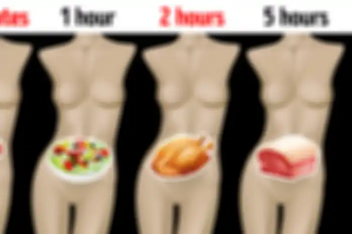 Tetapi, secara umum, ada beberapa makanan yang bisa dicerna dalam waktu singkat. Sementara ada beberapa yang membutuhkan waktu.