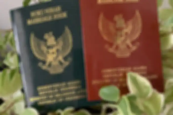Ilustarsi buku nikah