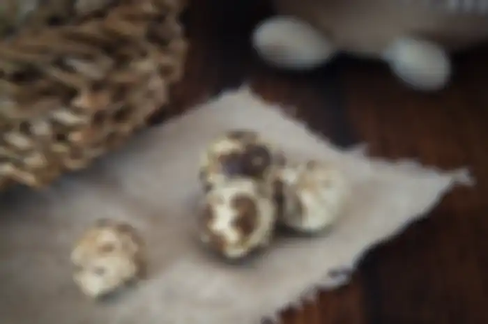 Telur dari burung puyuh berwarna putih atau cokelat dan bintik-bintik cokelat gelap dan ukurannya lebih kecil dari telur ayam.