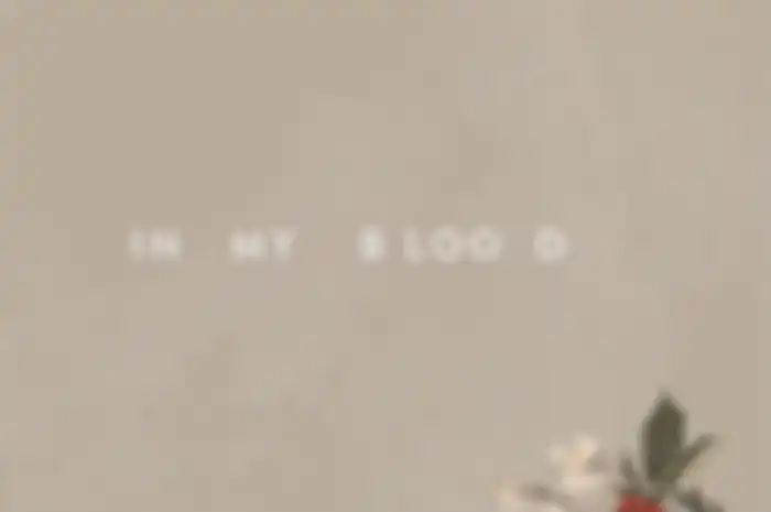 Shawn Mendes - In My Blood