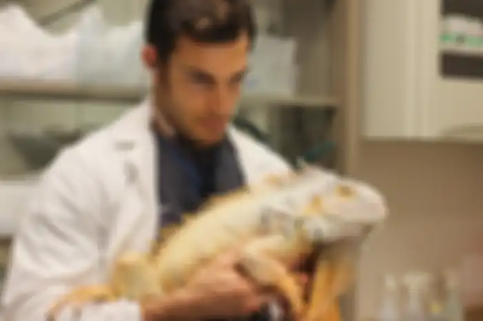 Dokter Evan Antin