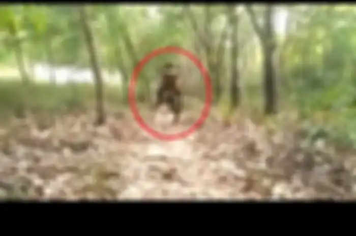 Aksi freestyle di tengah hutan