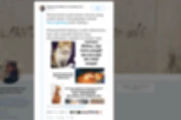 Tweet Fahmi soal kucing kesayangannya, Baileys yang hilang