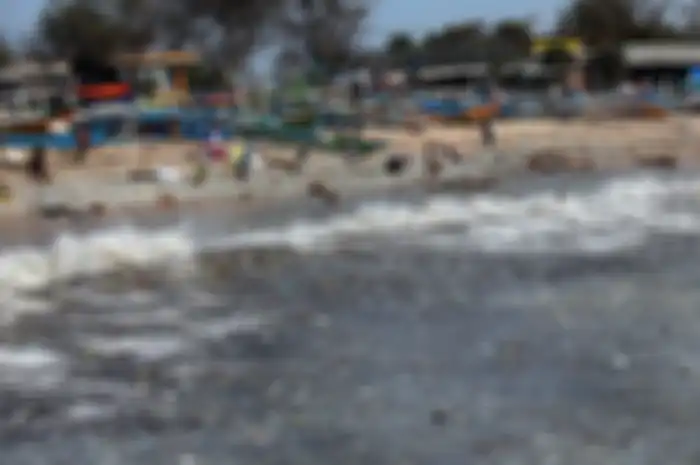 Sejumlah pemulung memungut sampah plastik di Pantai Kedonganan, Badung, Sabtu (26/1/2019). Pantai Kedonganan dipenuhi sampah kiriman yang mayoritas didominasi sampah plastik yang terdampar ke perairan tersebut akibat gelombang tinggi di wilayah perairan Bali selatan. Tribun Bali/Rizal Fanany