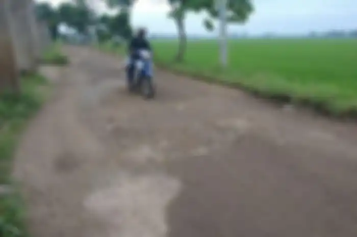  Jalan yang menghubungkan Desa Linggar dan Desa Jelegong, Kecamatan Rancaekek, tampak berlubang dan seusai diguyur hujan kerap terjadi genangan, sehingga membahayakan pengendara yang melintas.&nbsp; 