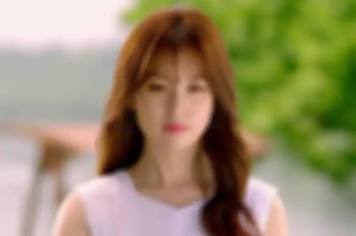 Han Hyo Joo