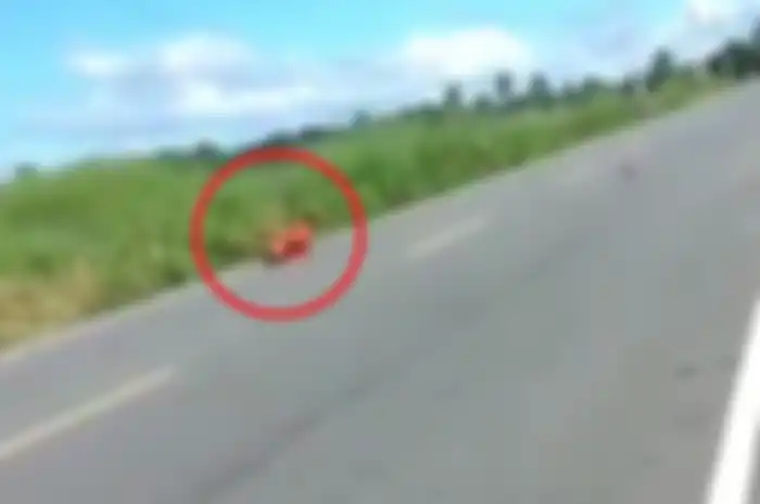 Joki balap liar mental dan berguling-guling di jalan raya