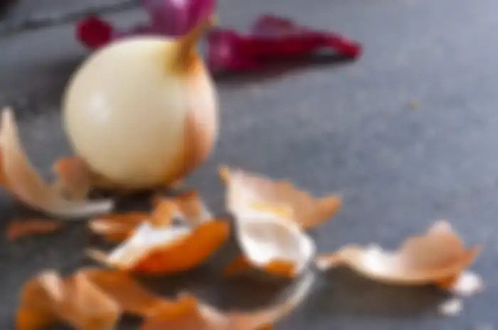 Kulit bawang bombay untuk menyuburkan tanaman