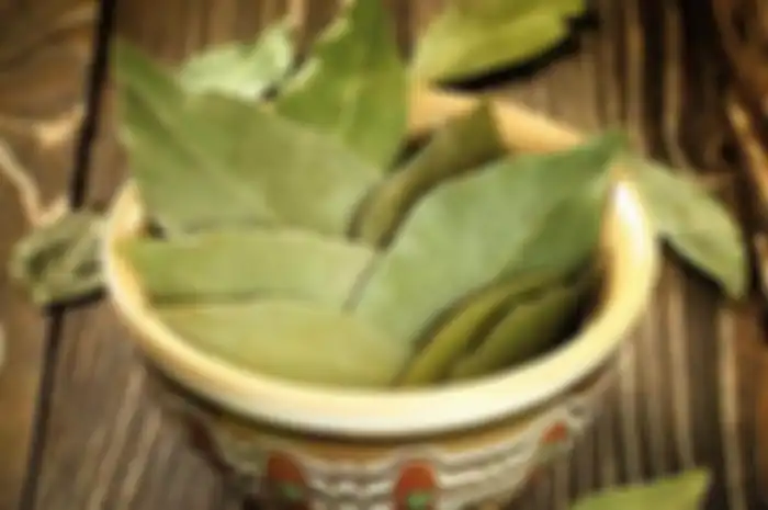 Ini tips menyimpan daun salam agar tetap awet dan cara menggunakannya. Daun salam tidak akan menjadi buruk, tetapi akan kehilangan rasa.