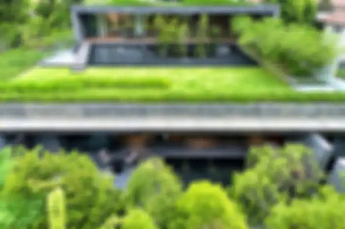 Atap hijau (green roof)