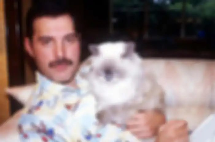 Freddie Bersama kucingnya, Tiffany,