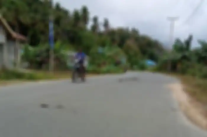 Ranjau berupa kotoran sapi harus diwaspadai pemotor