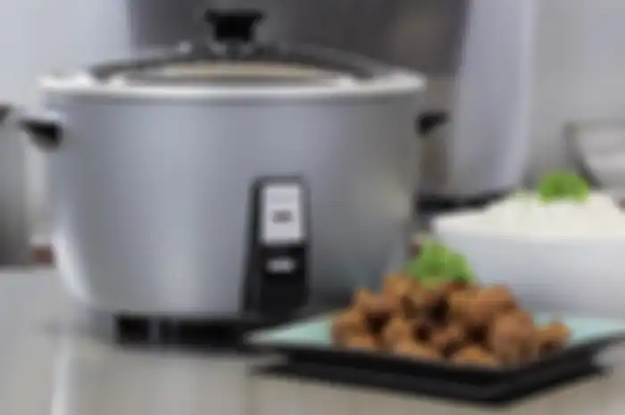 Ilustrasi rice cooker.