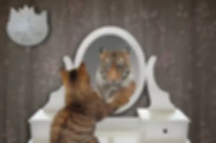 Megalomania merasa jadi macan namun sebenarnya ia adalah seekor kucing