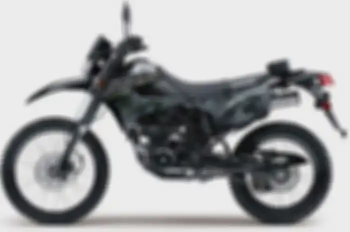 Kawasaki KLX 250