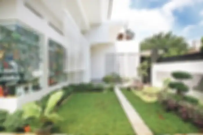 Tanaman bentuk unik dan punya pertumbuhan lambat, cocok untuk rumah modern. 