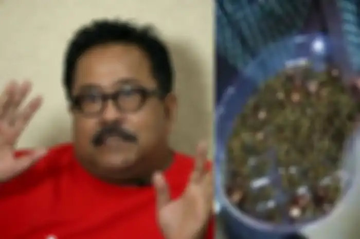 Pola makan tak teratur sebabkan Rano Karno kehilangan empedu. Sementara tubuh wanita ini dipenuhi ribuan empedu karena jarang sarapan.