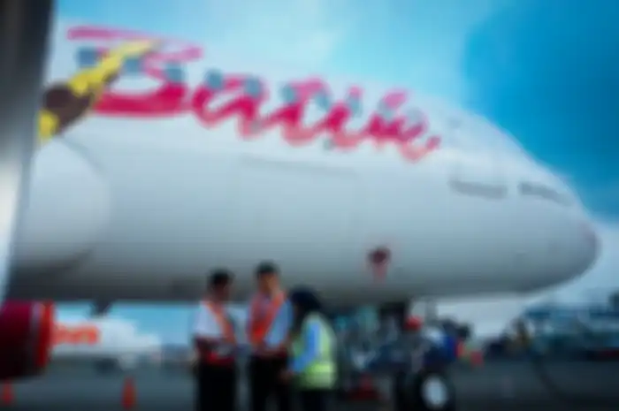 Foto Ilustrasi Batik Air