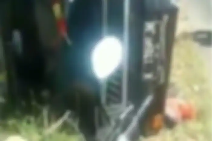 Mobil pikap terguling, muatan ikan segar dijarah warga di Rembang.