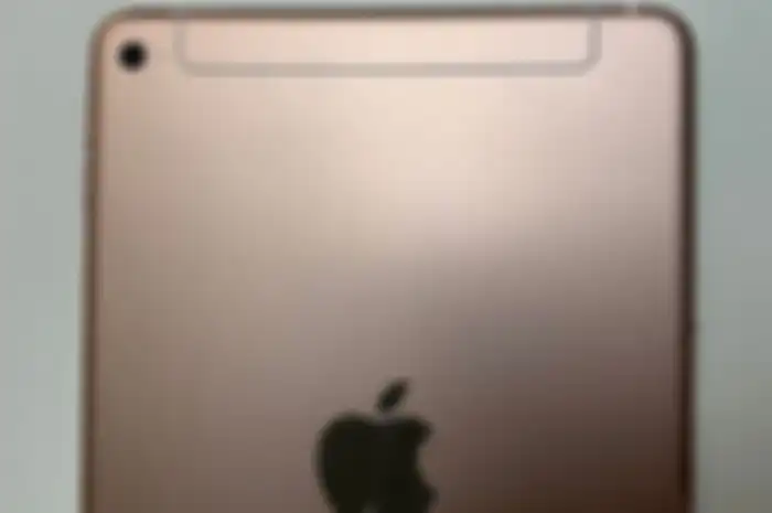 Tampak Belakang Ipad Mini