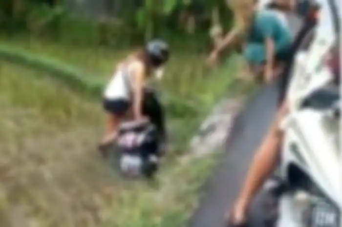 Seorang bule wanita terperosok ke dalam sawah di Bali