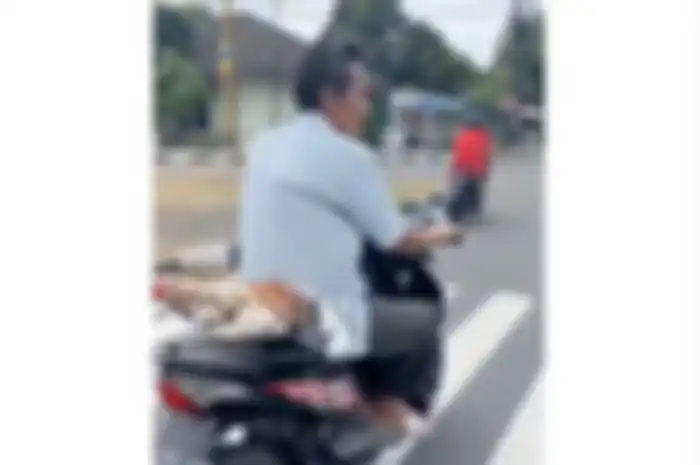 Aksi kocak pemotor bonceng ayam jago di jok belakang