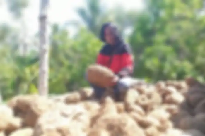 Paidi (37) adalah mantan pemulung dari desa Kepel, Kabupaten Madiun berhasil merubah nasib hidupnya menjadi seorang yang sukses.