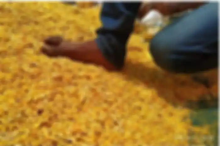 Pengemasan snack