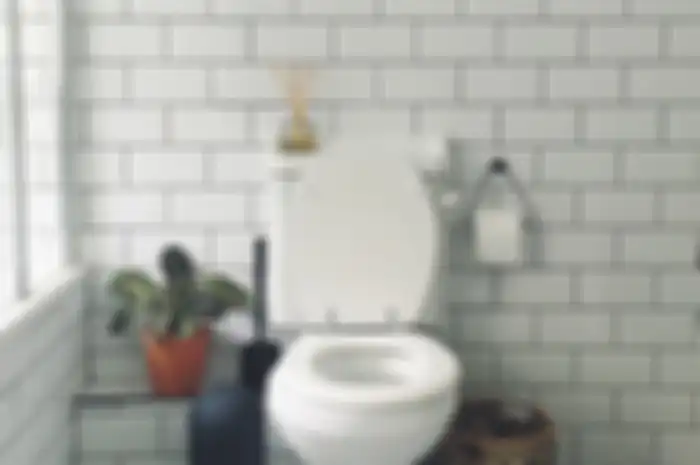 Lembap Teratasi, Jamur Pergi - kamar mandi - kloset