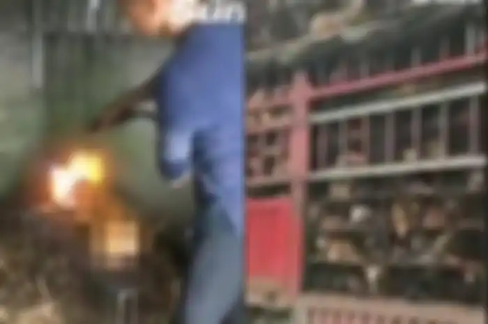 Ribuan anjing dibantai dalam acara makan tahunan Festival Yulin di Tiongkok, banyak anjing dimasak hidup-hidup.